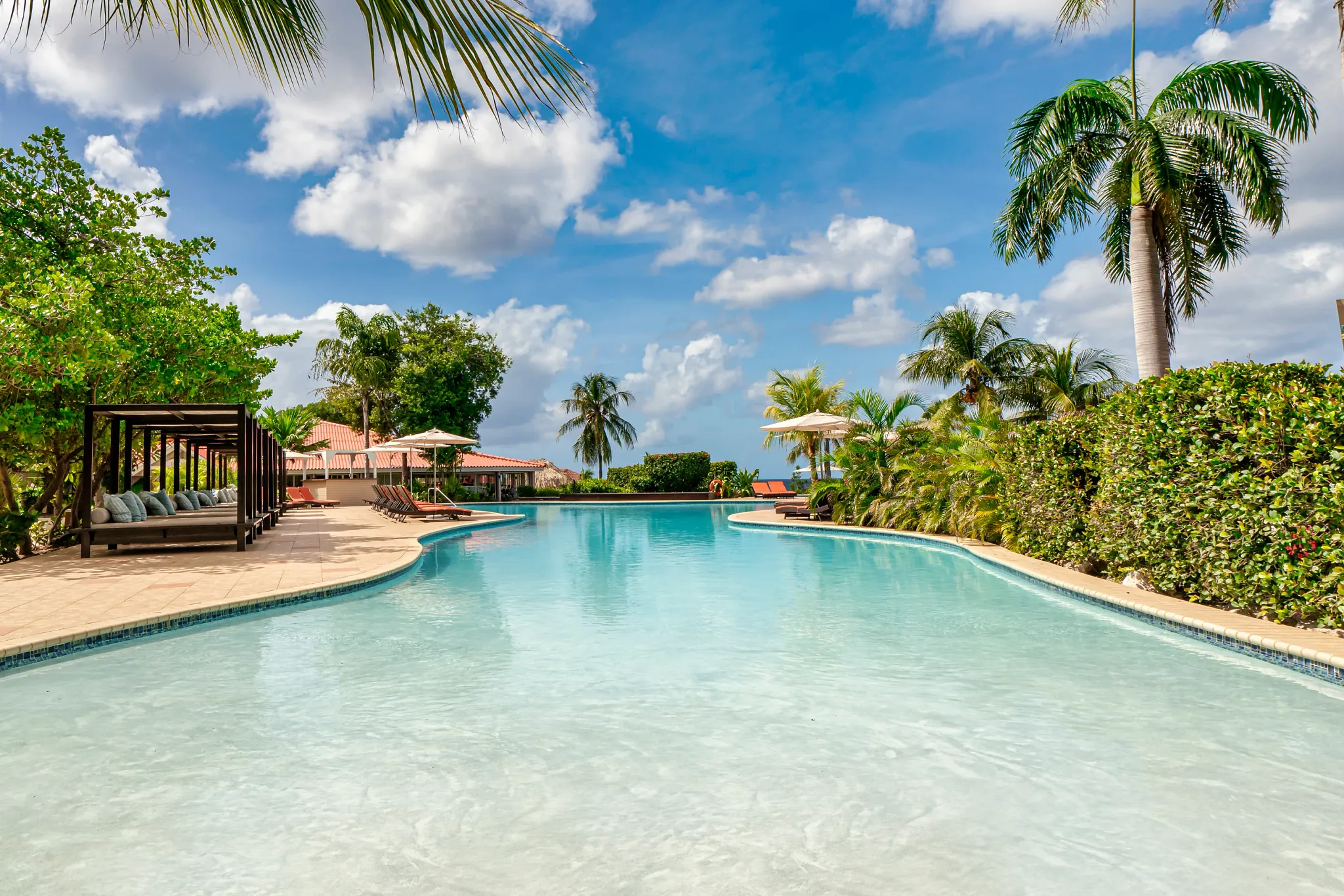 Resort infinity pool surrounded by palm trees and lounge chairs at Dreams Curaçao Resort.